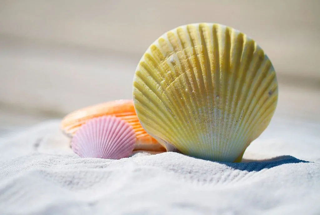 Actividades para hacer en vacaciones