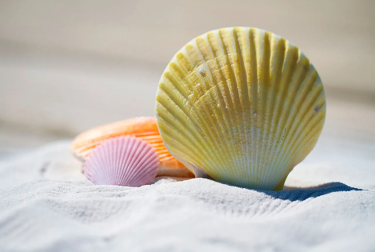 Actividades para hacer en vacaciones